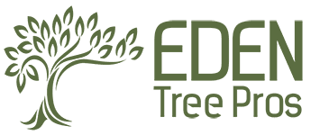 Eden Tree Pros, tree service in Omaha, Nebraska